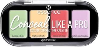 ESS CORRECTING PALETTE 4 COLOR
